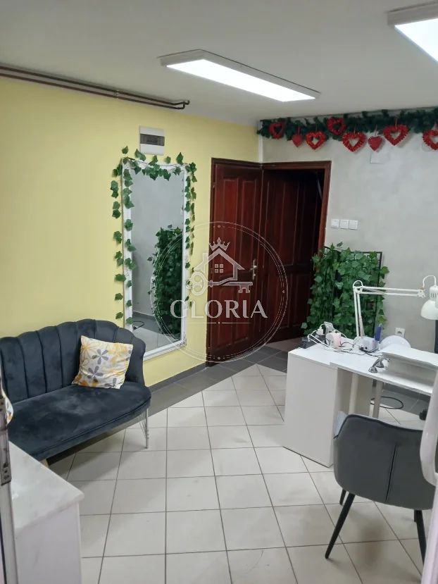 Квартира, 250 м², Земун, фото 11