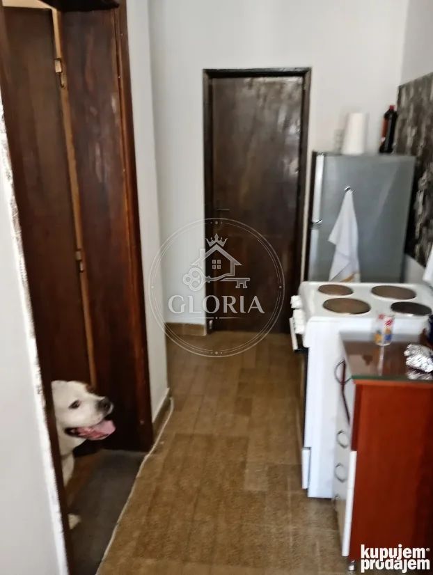 Дом, 42 м², Мали Мокри Луг, Звездара, фото 11