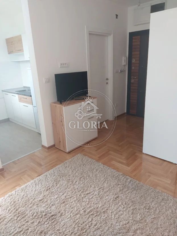 Студия, 24 м², Алтина, Земун, фото 13