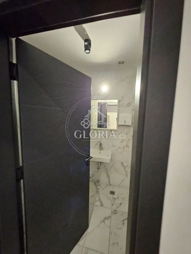 Трёхкомнатная квартира, 88 м², Врачар, фото 14