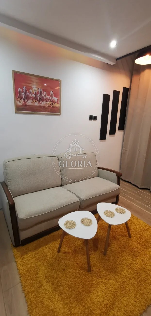 1,5-комнатная квартира, 30 м², Раковица