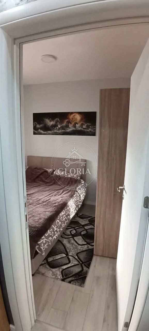 1,5-комнатная квартира, 43 м², Младеновац, фото 5