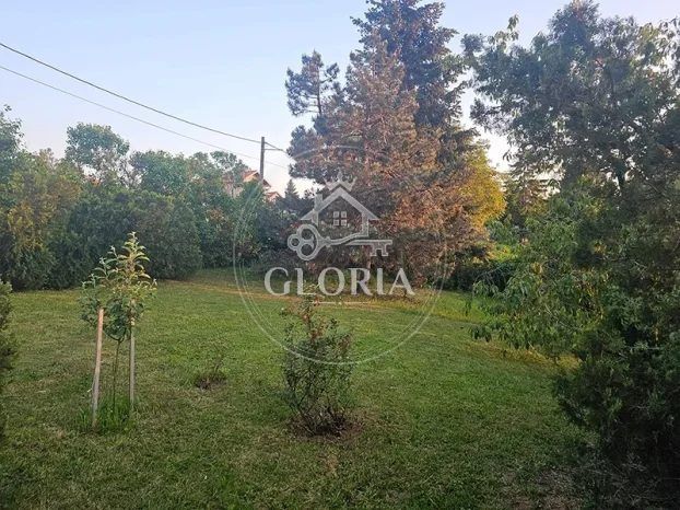 Дом, 320 м², Авала, Вождовац, фото 9