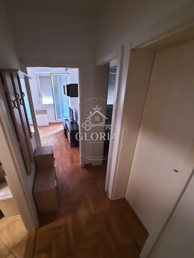 Двухкомнатная квартира, 50 м², Новый Белград, фото 3