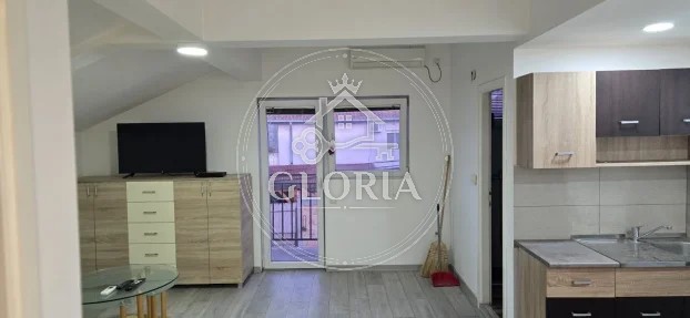 1,5-комнатная квартира, 45 м², Раковица, фото 4