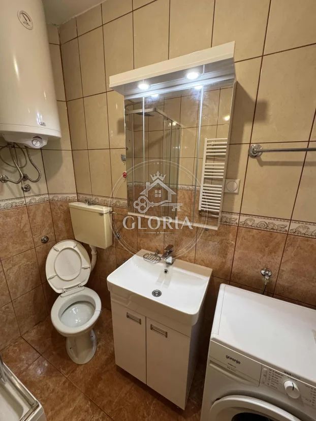 Студия, 30 м², Беле воде, Чукарица, фото 13
