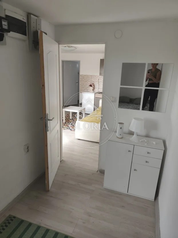 1,5-комнатная квартира, 25 м², Вождовац, фото 5